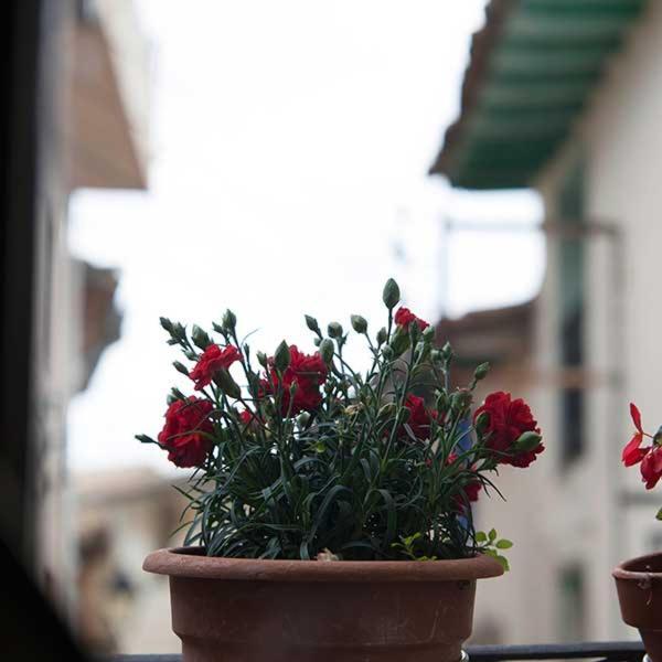 Casa Mata Colungo
